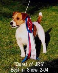 Tartan is line bred with Quest, being his Grand/Great grandfather on the top and bottom of his pedigree.