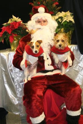 Hi Laura,  I thought you'd like to see this recent photo of Grace and Fergie (Lilly x Fly litter).  They are great little dogs:  smart, affectionate and very friendly.  We adore them!  Sylvia San Martin