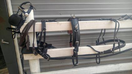 Mini horse/VSE CDE Chicacum tack Marathon Harness *See more below for sale at Walnut Creek Farm