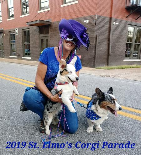 , 2019 st. Elmo's Corgi parade Chattanooga Tennessee, Laura Adams with her to Cardigan Welsh Corgis AKC Champion Jason when's the award for oldest Corgi 14 years old beautiful Crystal chason's granddaughter wins biggest ears had a good time thanks everyone see you next year
